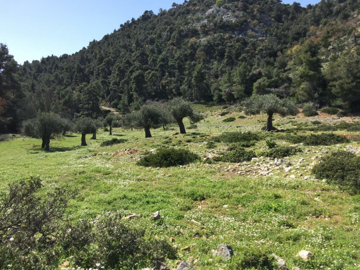 Ferienhaus-Alonissos-Griechenland Alónnisos エクステリア 写真